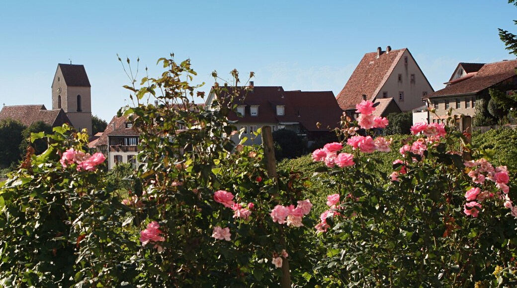 Ötlingen...Im Pflanzer.