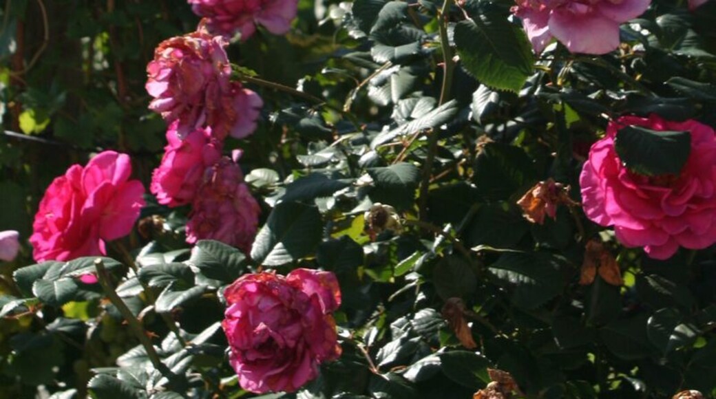 Ötlingen....impression...PL