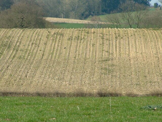 Distant Field View of distant field near to Freston Suffolk.