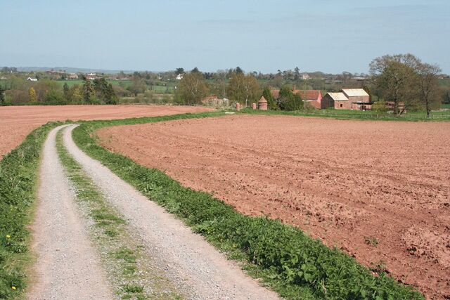 Milverton: towards Garnivals Week Farm The track doubles as a public footpath; looking east-north-east
