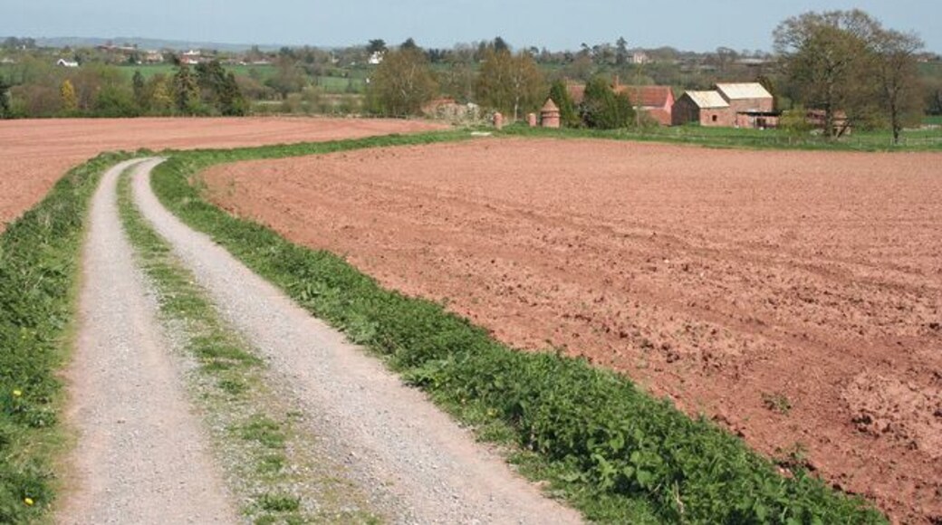 Milverton: towards Garnivals Week Farm The track doubles as a public footpath; looking east-north-east