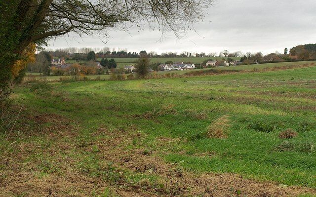 Towards Preston Bowyer. Looking across the track shown in 1594892 from beside the Hillfarrance Brook, with 1594856 on the slopes above.