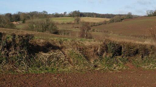 Valley near Higher Lovelynch A view across a field boundary towards the head of a valley below Milverton Heath. On the left is The Courtyard.