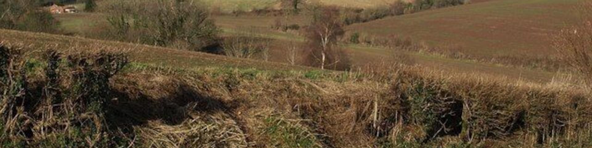 Valley near Higher Lovelynch A view across a field boundary towards the head of a valley below Milverton Heath. On the left is The Courtyard.