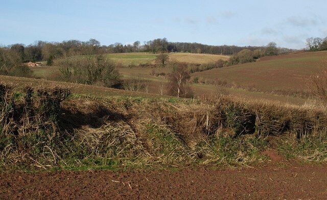 A rural landscape with rolling fields, a small house, and a line of trees in the distance.