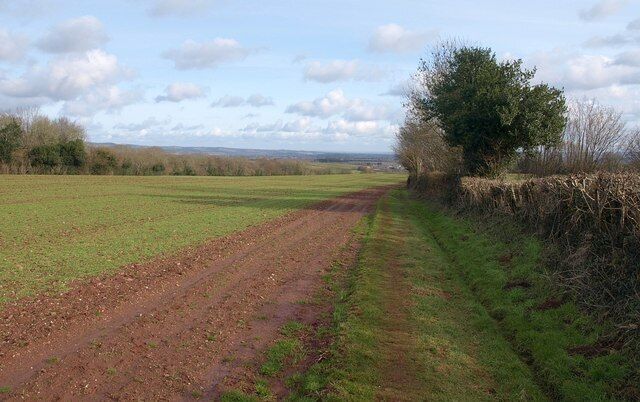 Long field south of Aslant Covert. The field boundary at the west end of this field is shown in 1714519. The total length of the field is over 750 metres while the width averages 100 to 150 metres. Footpath WG 7/25 runs the length of it along the field boundary on the right, while footpath WG 7/26 crosses it diagonally just ahead. Along the left side runs Aslant Covert, a narrow strip of woodland descending, like the field, towards the valley of the Hillfarrance Brook.