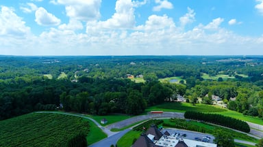 A lush green landscape with a golf course, a winding road, and scattered houses.