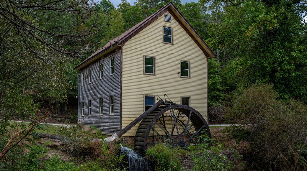 Een historisch watermolen met houten constructie en een groot waterrad, omgeven door weelderige begroeiing.