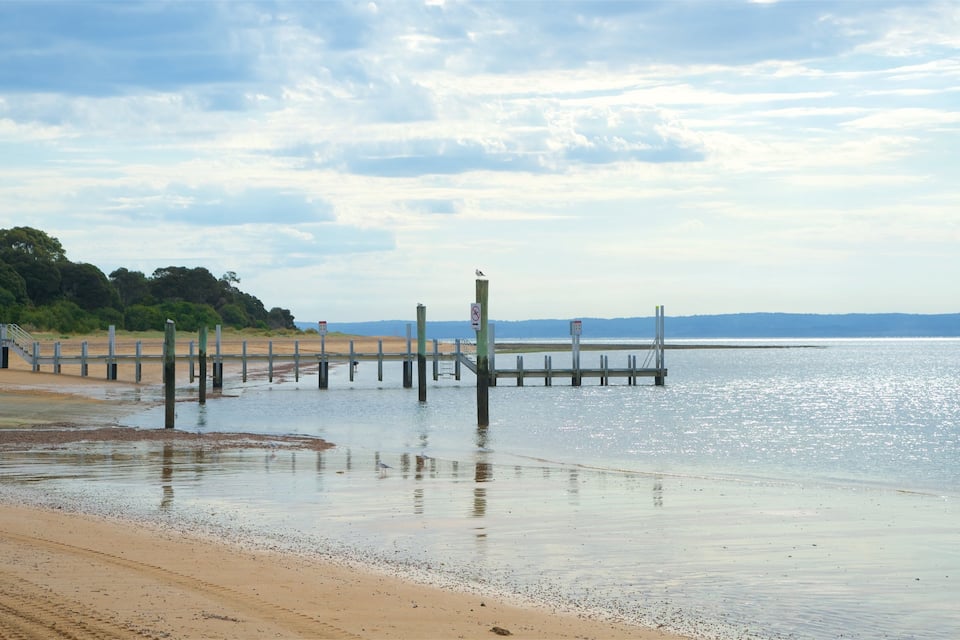 Une plage avec une jetée qui s’avance dans des eaux calmes, entourée d’arbres et sous un ciel dégagé.