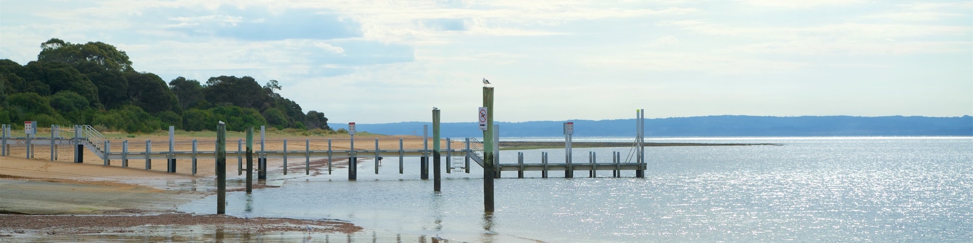 Cowes mostrando uma praia de areia