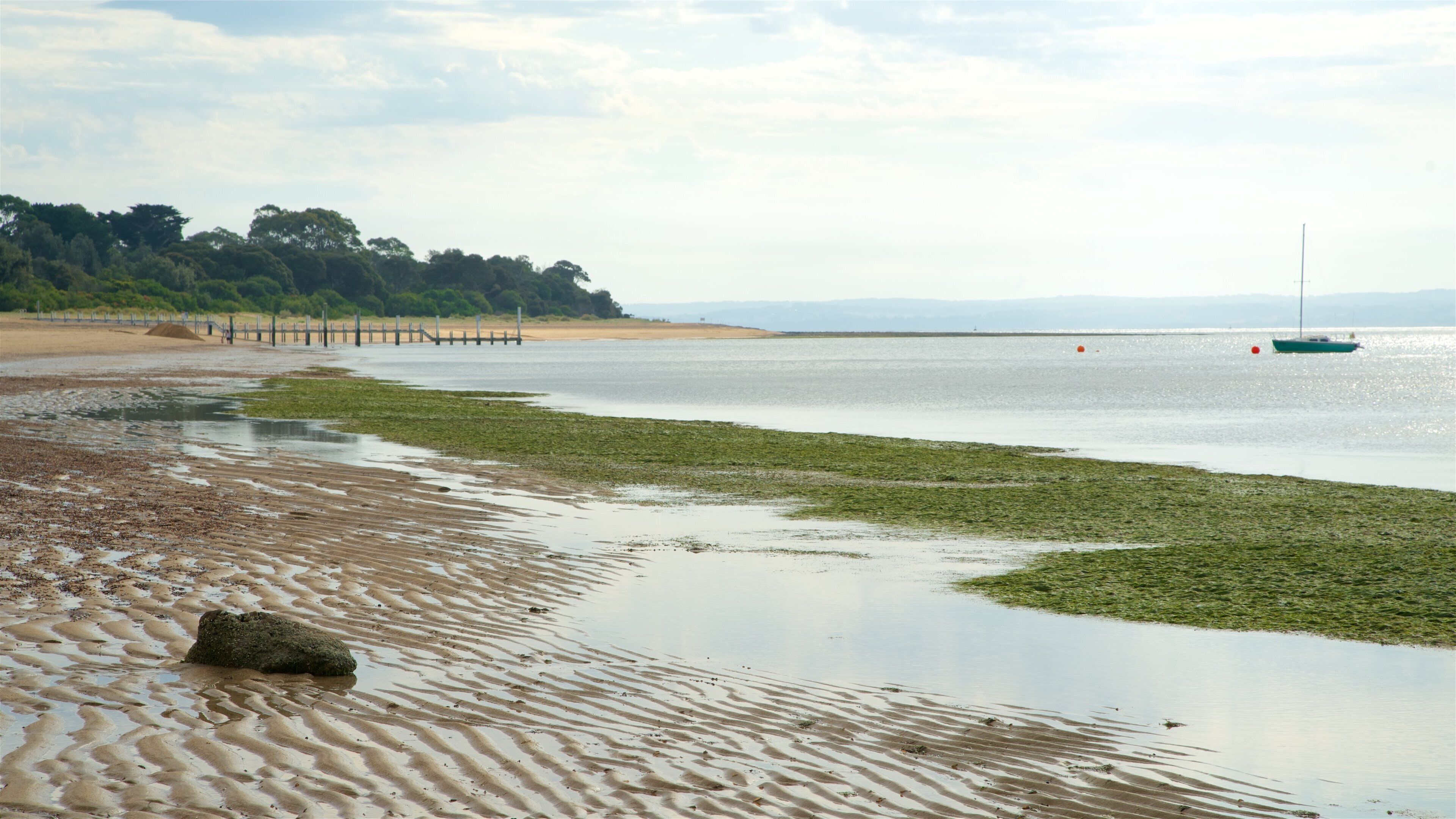 Cowes Beach which includes a sandy beach and general coastal views