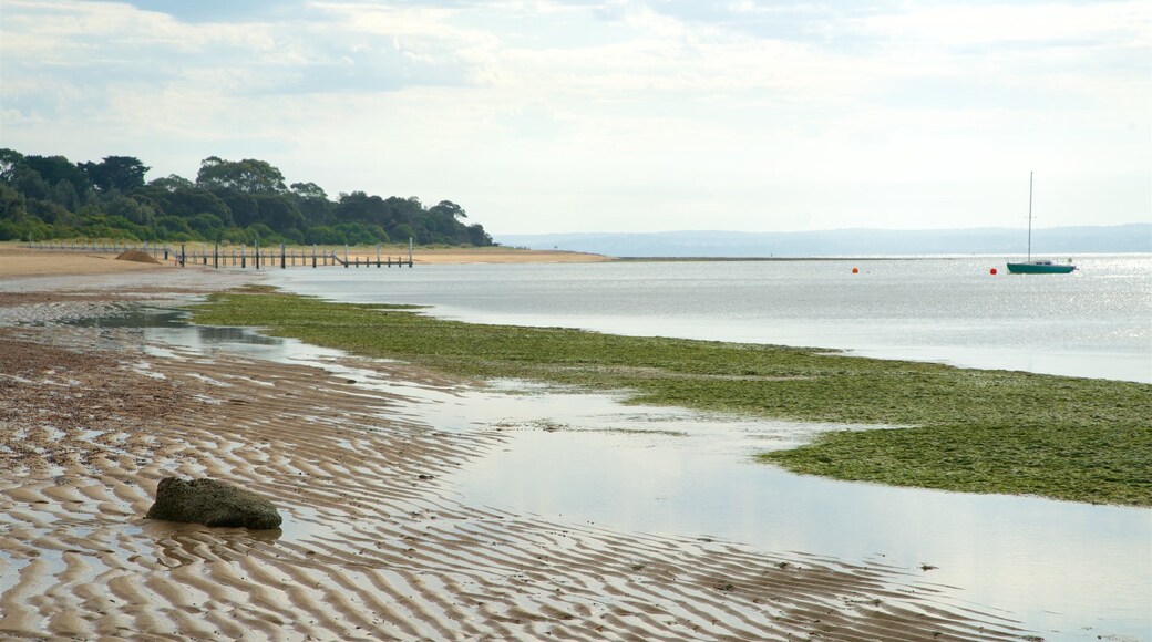 Cowes Beach which includes a sandy beach and general coastal views