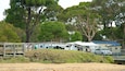 A campsite with RVs, a wooden fence, and a hill.