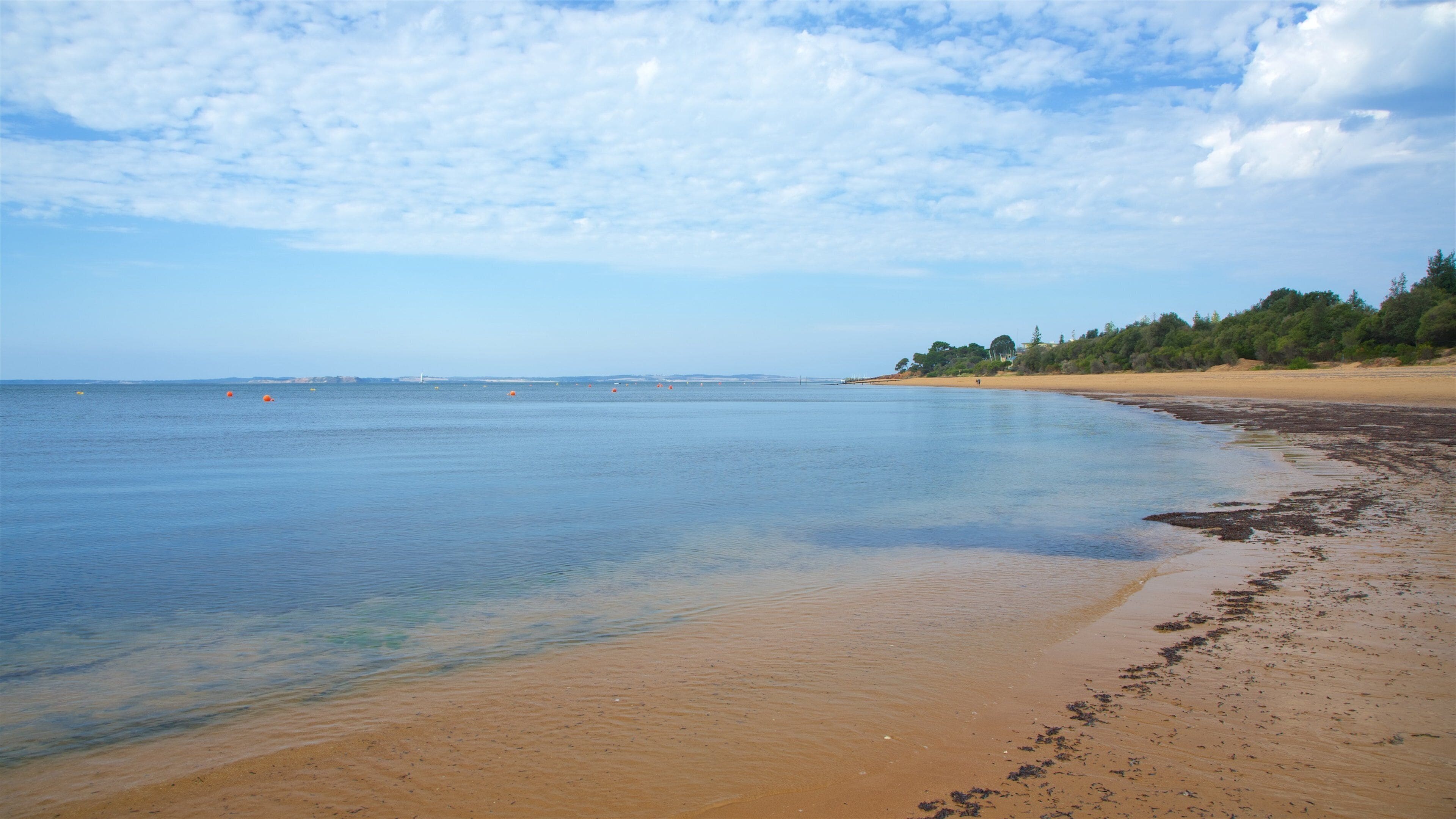 Cowes Beach showing general coastal views and a beach