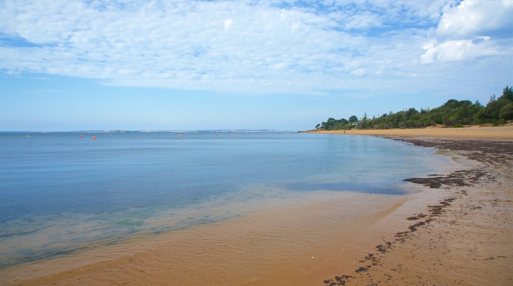 Cowes Beach showing general coastal views and a beach