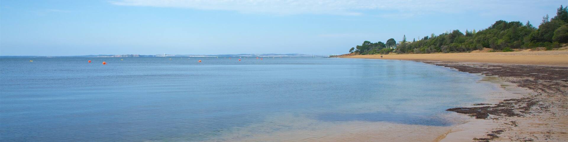 Cowes Beach showing general coastal views and a beach