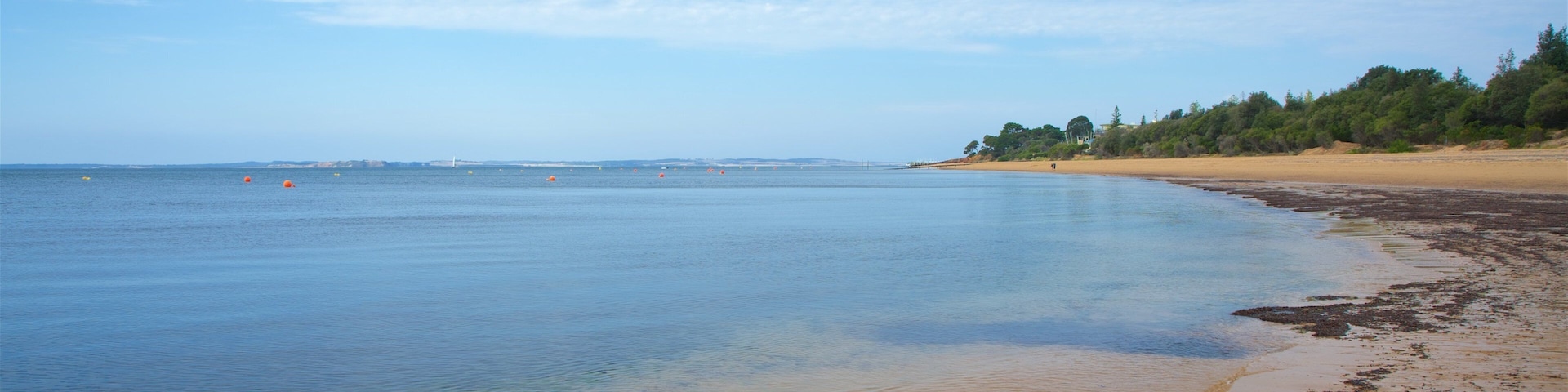 Cowes Beach showing general coastal views and a beach