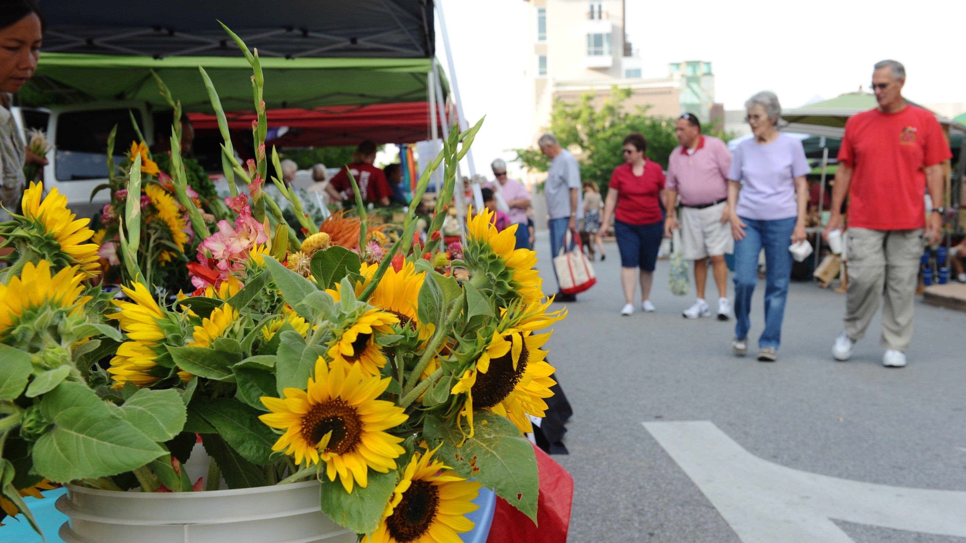 Fayetteville caracterizando flores e mercados