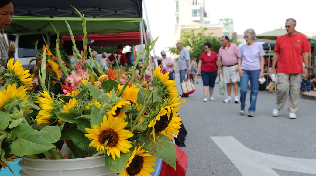 Fayetteville caracterizando flores e mercados