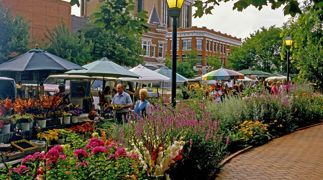 Fayetteville que inclui um jardim, mercados e flores