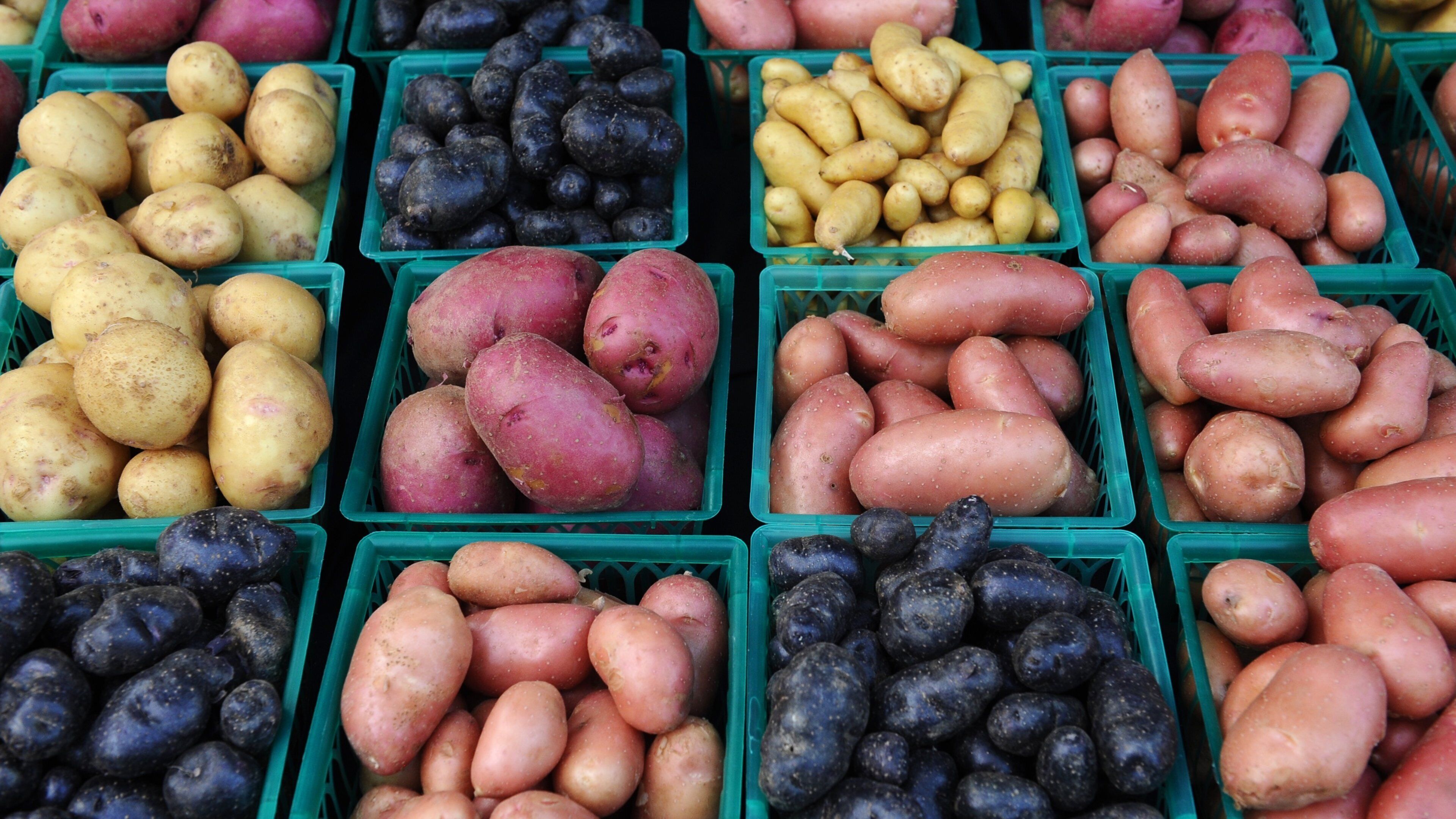 Bentonville - Fayetteville