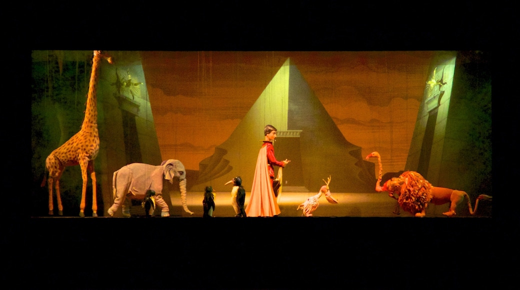 Salzbourg montrant vues intérieures, arts de la scène et scènes de théâtre