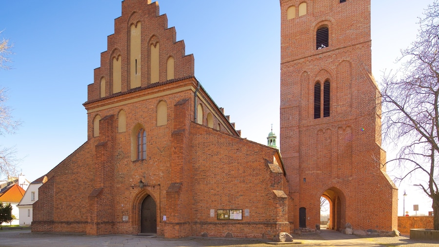 Warsaw showing heritage architecture, a church or cathedral and heritage elements