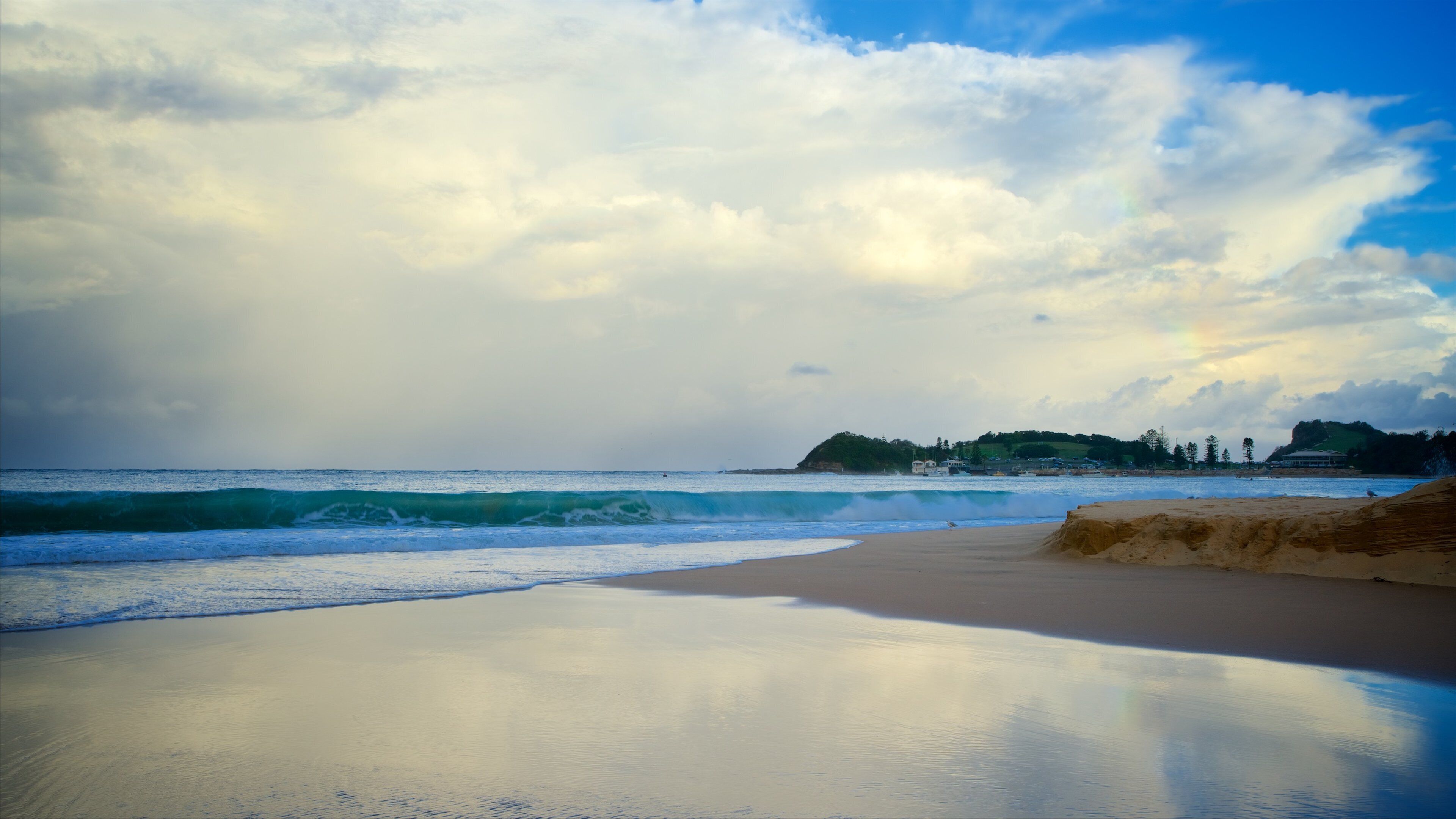 Terrigal som omfatter surfing, en bugt eller havn og en sandstrand