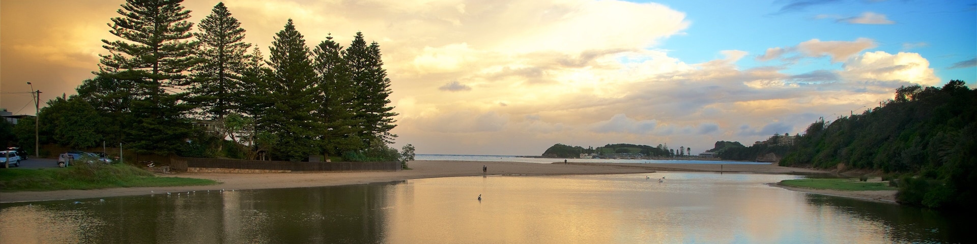 Terrigal featuring a sunset and a bay or harbor