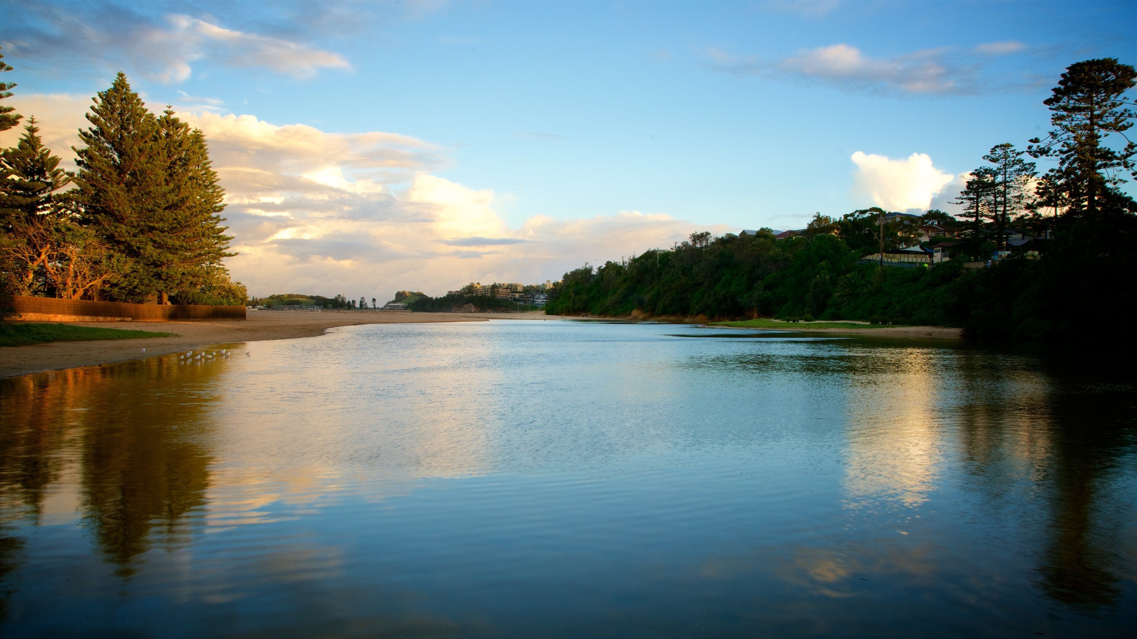 Terrigal og byder på en strand og en bugt eller havn