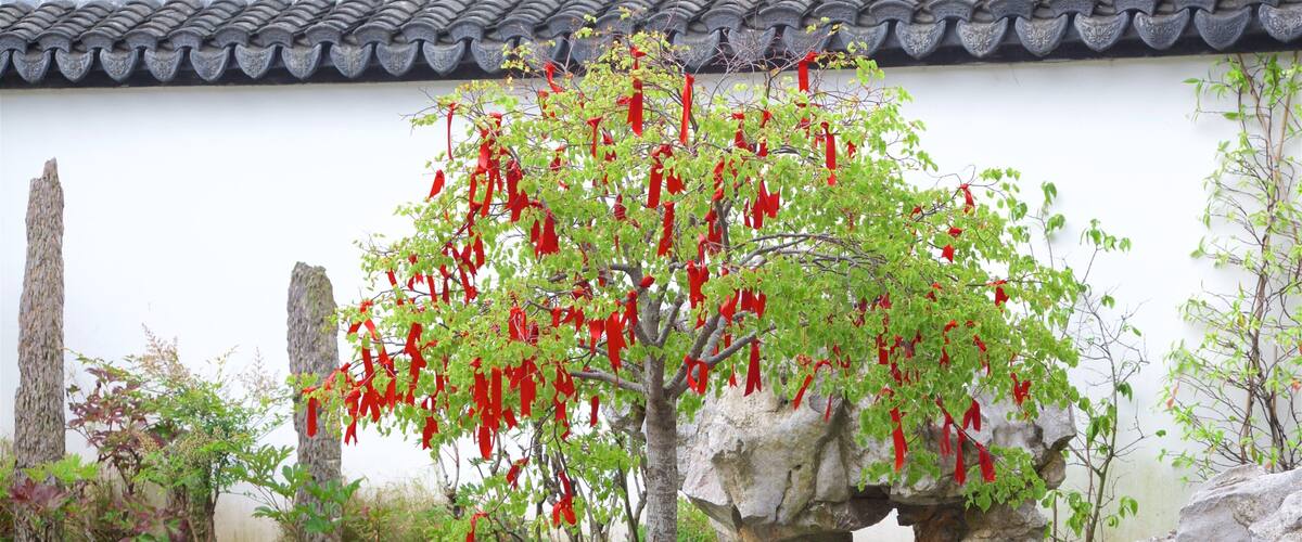 但尼丁 设有 池塘, 懷舊元素 和 公園