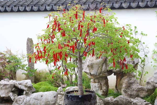 Dunedin which includes a garden, heritage elements and a pond