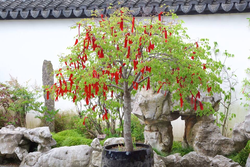 A traditional Chinese garden with a tree adorned with red ribbons, surrounded by rocks and a tiled roof structure.
