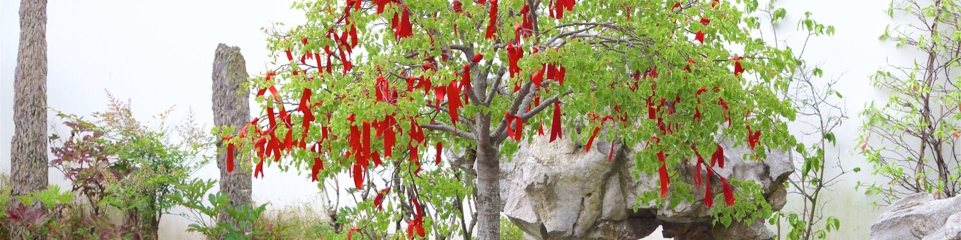Dunedin mostrando un estanque, elementos patrimoniales y jardín