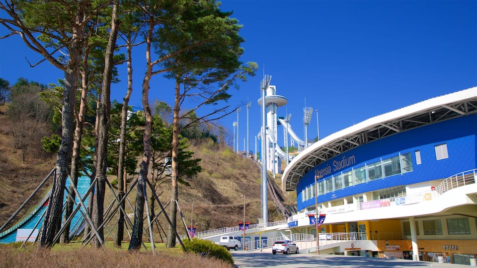 A stadium with a blue exterior and a white tower. There are trees and a road in the foreground.