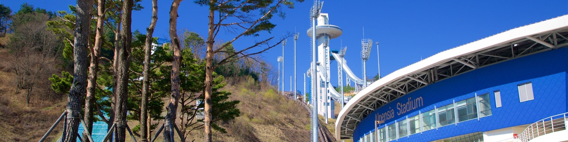 Pyeongchang