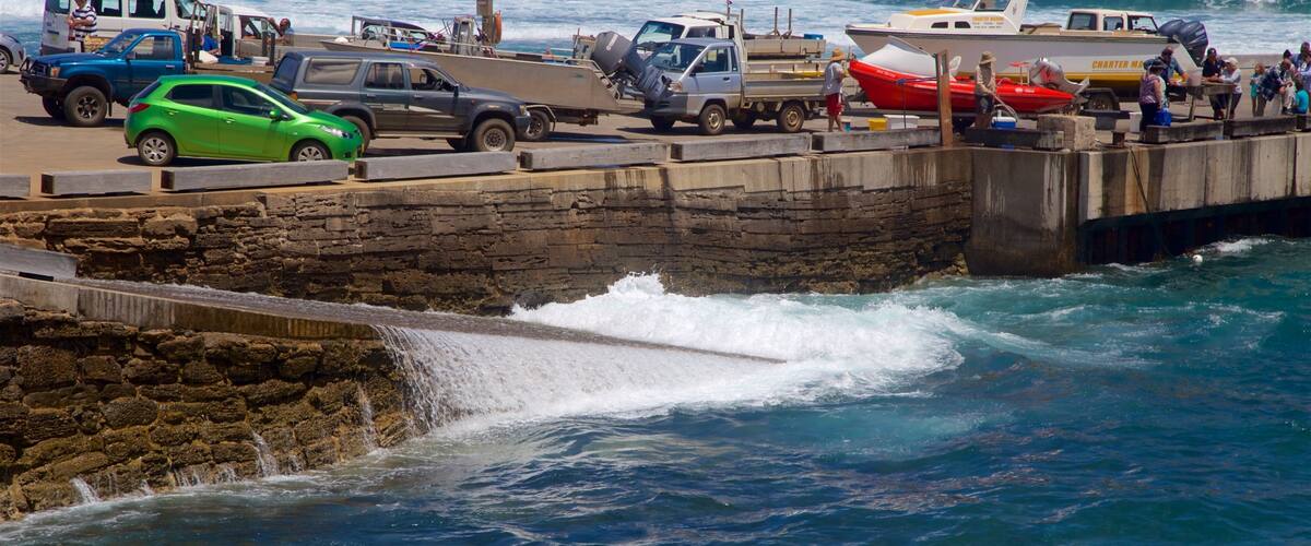 Isla Norfolk mostrando vistas generales de la costa y una bahía o puerto