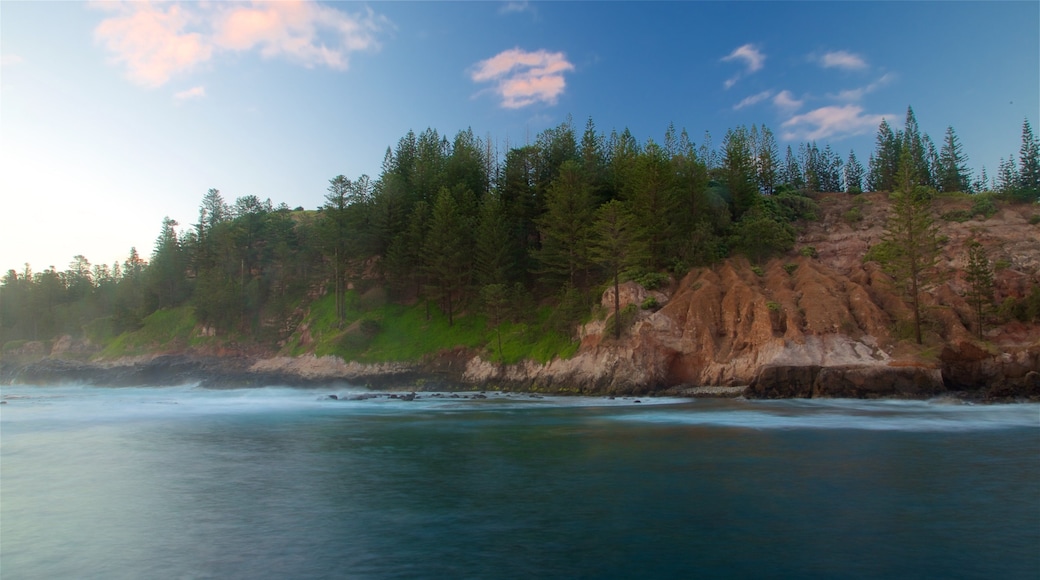Norfolk Island showing rugged coastline and general coastal views