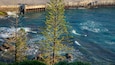 A coastal scene with a pier extending into the ocean, surrounded by rocky terrain and green vegetation.