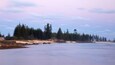A coastal landscape with a sandy beach, dense coniferous forest, and calm water.