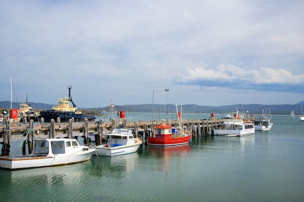 Eden featuring a marina