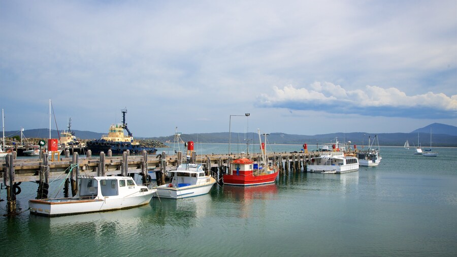 Eden featuring a marina