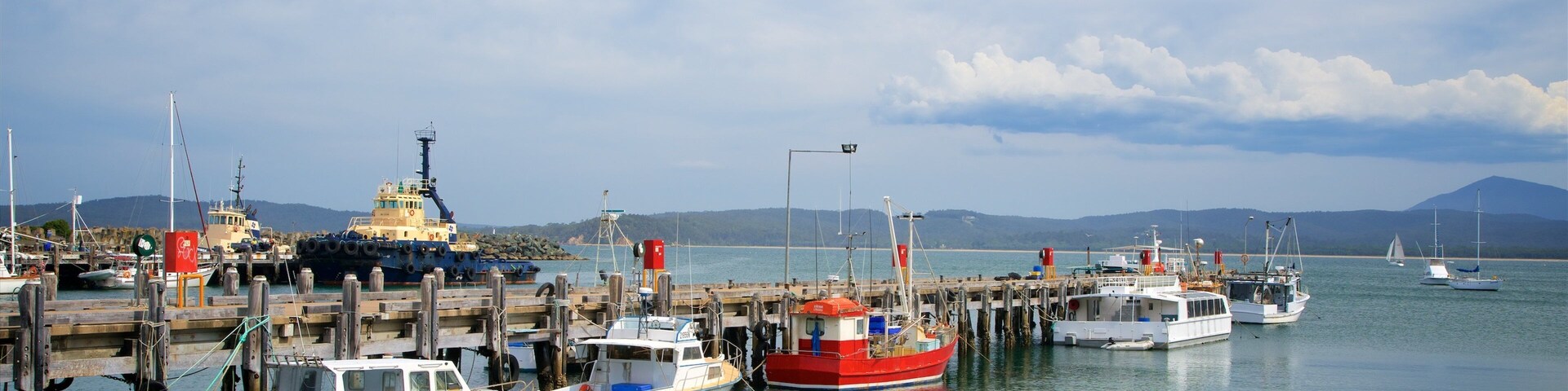 Eden featuring a marina