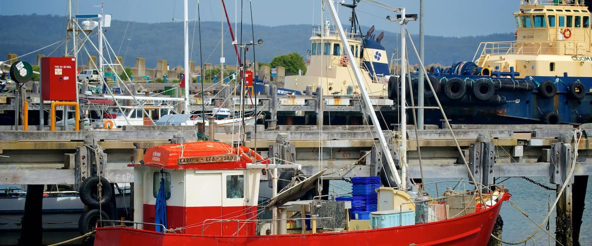 Sapphire Coast which includes a marina and boating