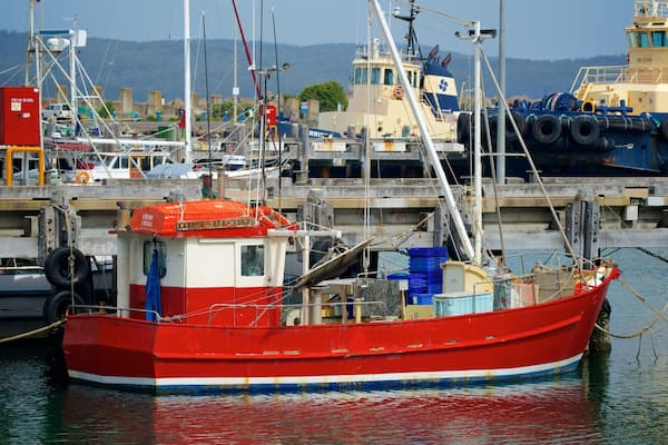 Sapphire Coast which includes a marina and boating