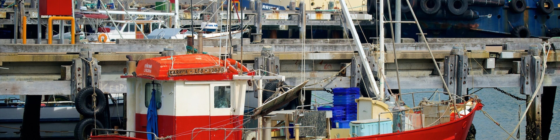 Sapphire Coast mostrando canoagem e uma marina