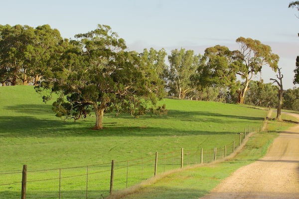 Barossa Valley which includes landscape views and farmland