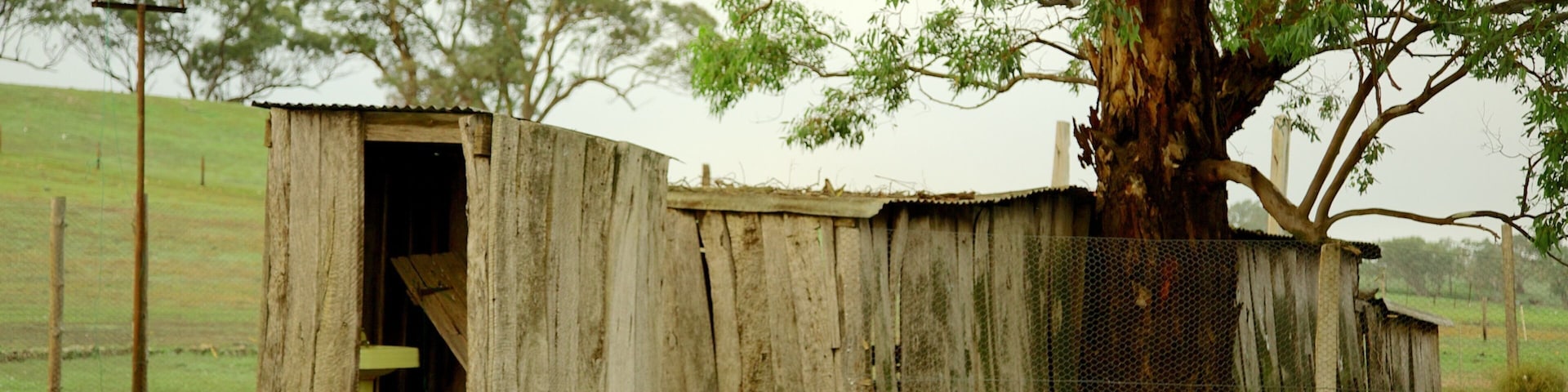 Barossa Valley which includes farmland and bird life