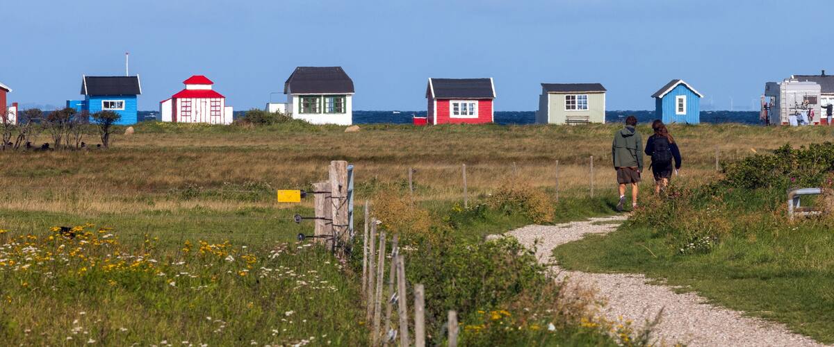 A coastal path with colorful houses and a clear sky.