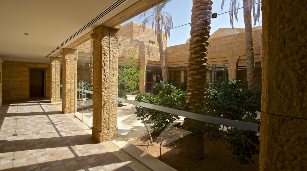 Dead Sea showing interior views